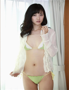 捕蝇纸