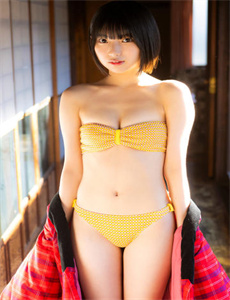 神猫
